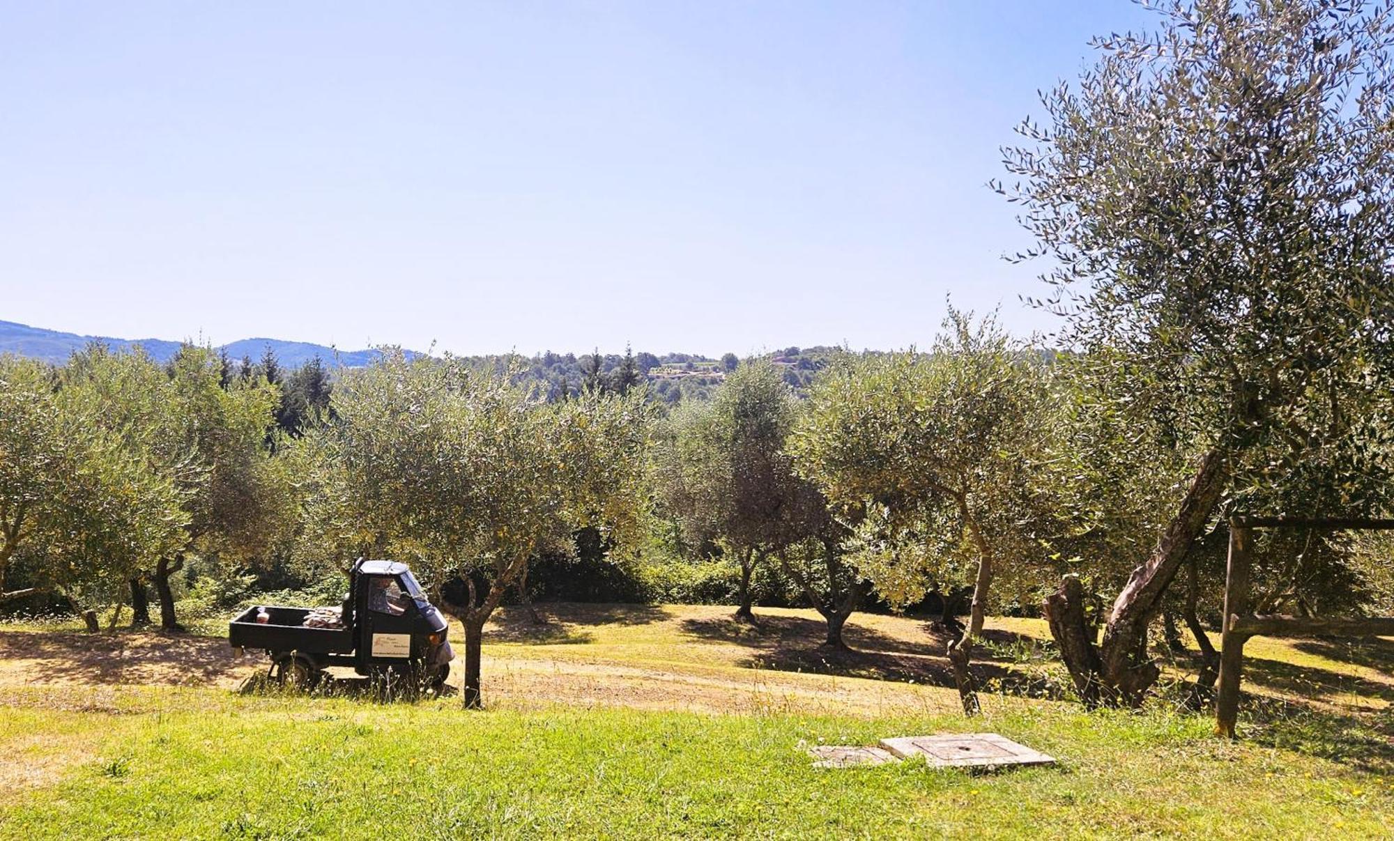 Ferienwohnung Pian Della Bandina Città della Pieve Exterior foto